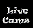 Making Money From Home with your Webcam